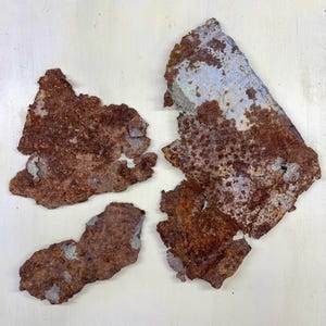 May include: Four irregularly shaped pieces of rusted metal with a mottled, textured surface. The metal is primarily shades of brown and rust, with patches of gray and blue-green. The pieces are arranged on a white surface.