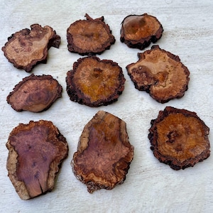 Black Cherry burl wood for stabilizing, epoxy resin projects, knife scales, jewelry making, woodcraft, etc.