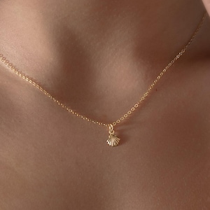 Könnte beinhalten: Eine zarte goldene Halskette mit einem kleinen Muschel-Anhänger. Die Halskette hat eine feine Kette und wird um den Hals getragen. Der Muschel-Anhänger ist eine detaillierte Miniatur. Die Halskette ist ein Schmuckstück.