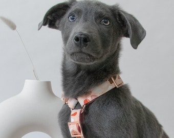 Designer dog harness TERRAZZO blush - designer harness with rose gold hardware