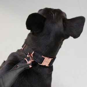 Dog collar ECLIPSE with rose gold colored hardware vegan leather in black image 1