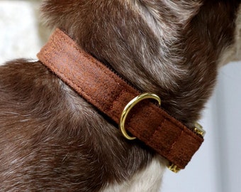 Stylisches Designer Hundehalsband TRAVELER - veganes Leder