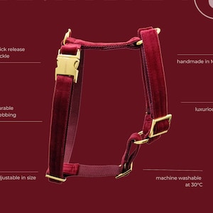 red velvet xmas dog harness SANTA BABY - designer harness with gold colored hardware - copper - matching leash available