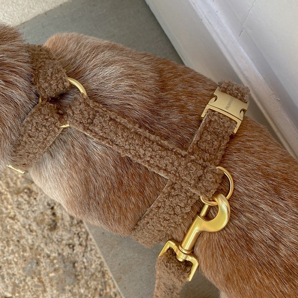 bruin TEDDY hondentuig voor grote, kleine honden &puppy's - gouden metalen onderdelen - vegan hondentuig luxe - bijpassende riem beschikbaar