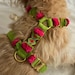 see more listings in the harnesses section