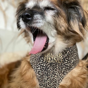 leopard soft harness WILD LIFE - handmade in Germany - perfect for small & medium dogs and puppies - autumn/winter collection chest harness