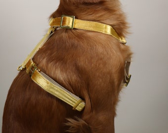Hundeleine louis vuitton - Unser Favorit