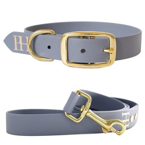 Salt water resistant dog collar 2025