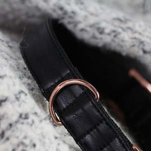 Dog collar ECLIPSE with rose gold colored hardware vegan leather in black image 5