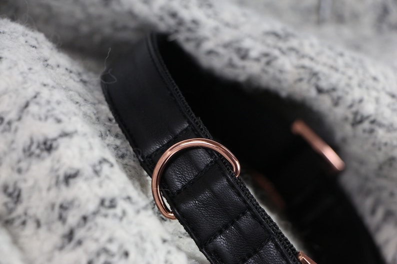 Dog collar ECLIPSE with rose gold colored hardware vegan leather in black image 5