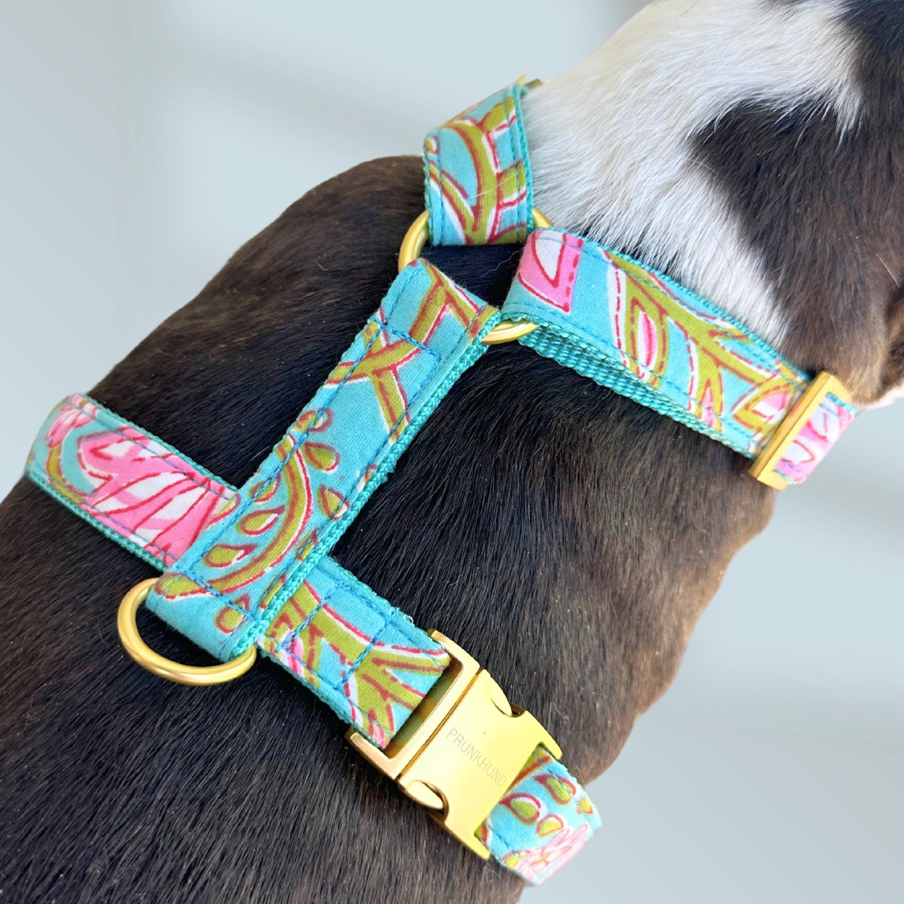 halsband choker CHOKER WITH ROUND STUDS  Coexist Berlin