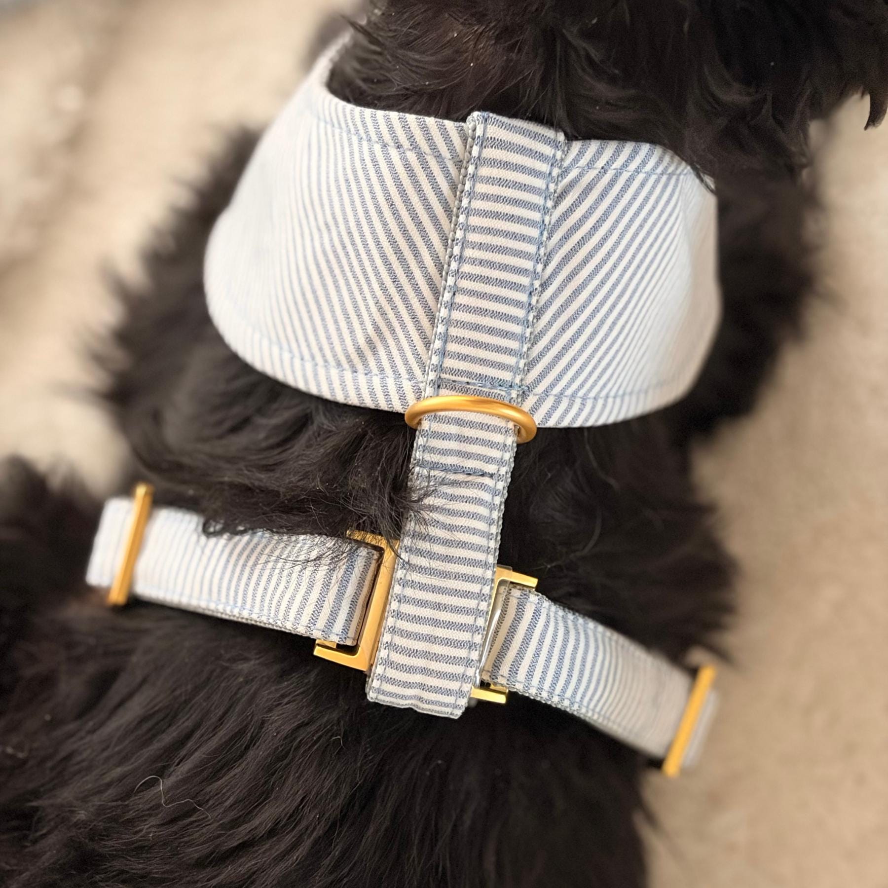 PRUNKHUND - Etsy sterreich