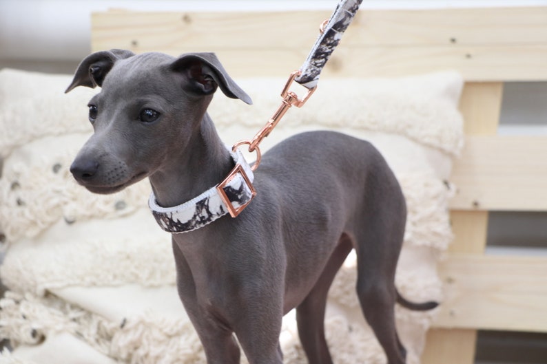 Dog collar MARBLE with rose gold colored hardware handmade trend image 3