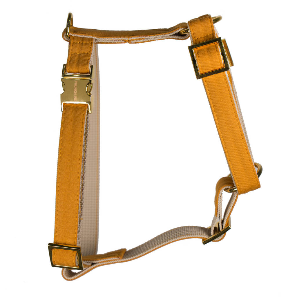 Designer dog harness HAY designer harness yellow with gold Etsy