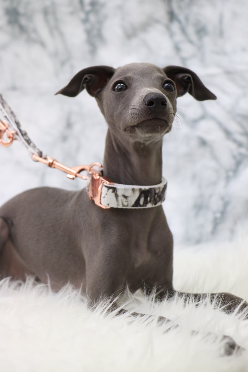 Dog collar MARBLE with rose gold colored hardware handmade trend image 8