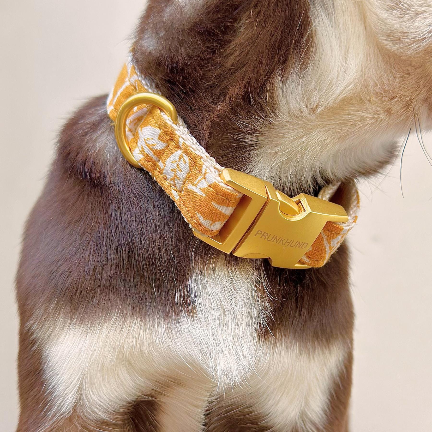hundefutter individuell Wildfang Futterpaket Rind  Getreidefreies Hundefutter Trocken & Nass   Wildfang.pet