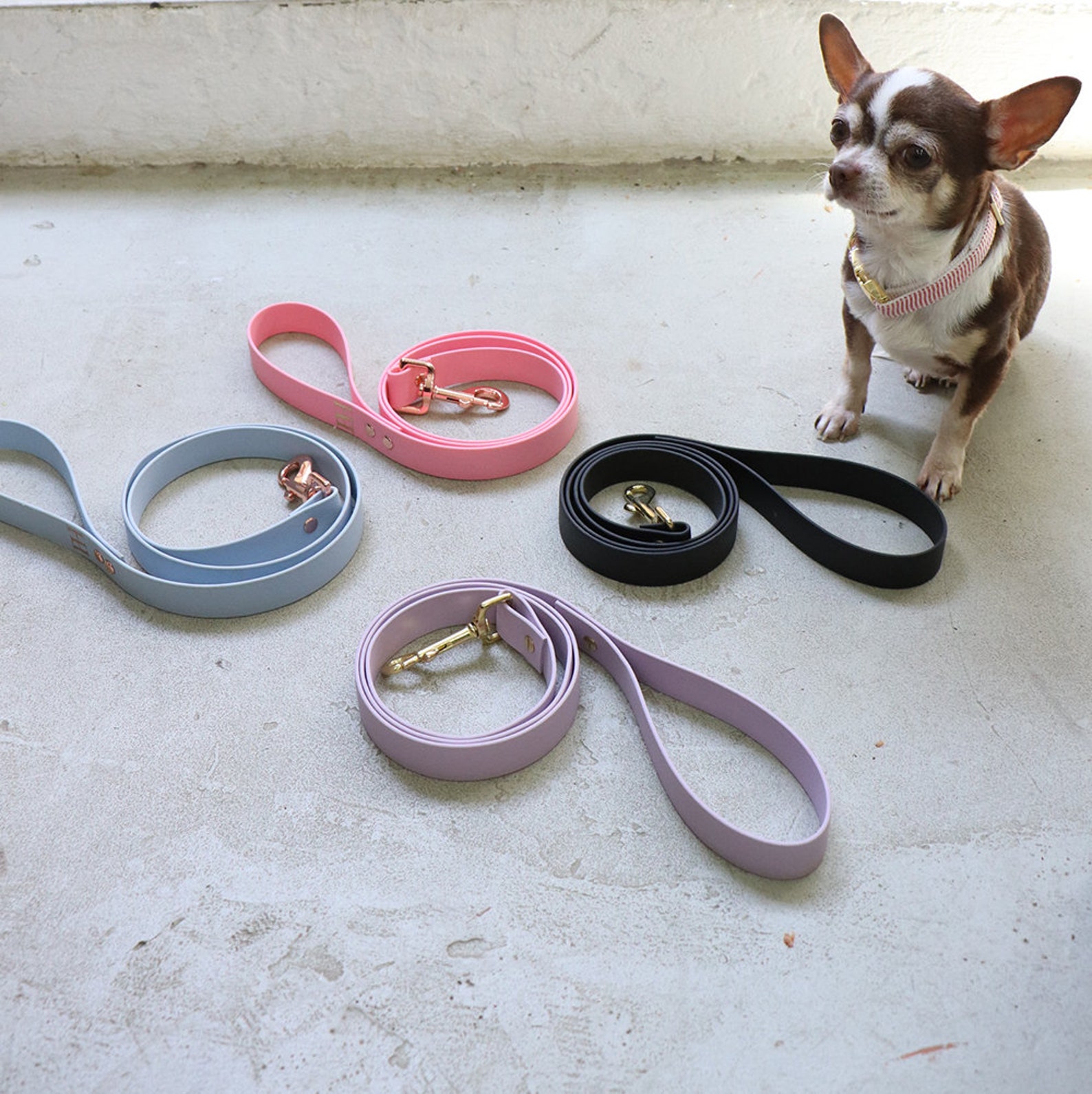 Durable Salt Water Proof Dog Collar BLUE SEA With Brass Etsy