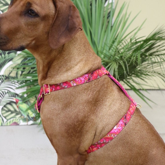 boho dog harness