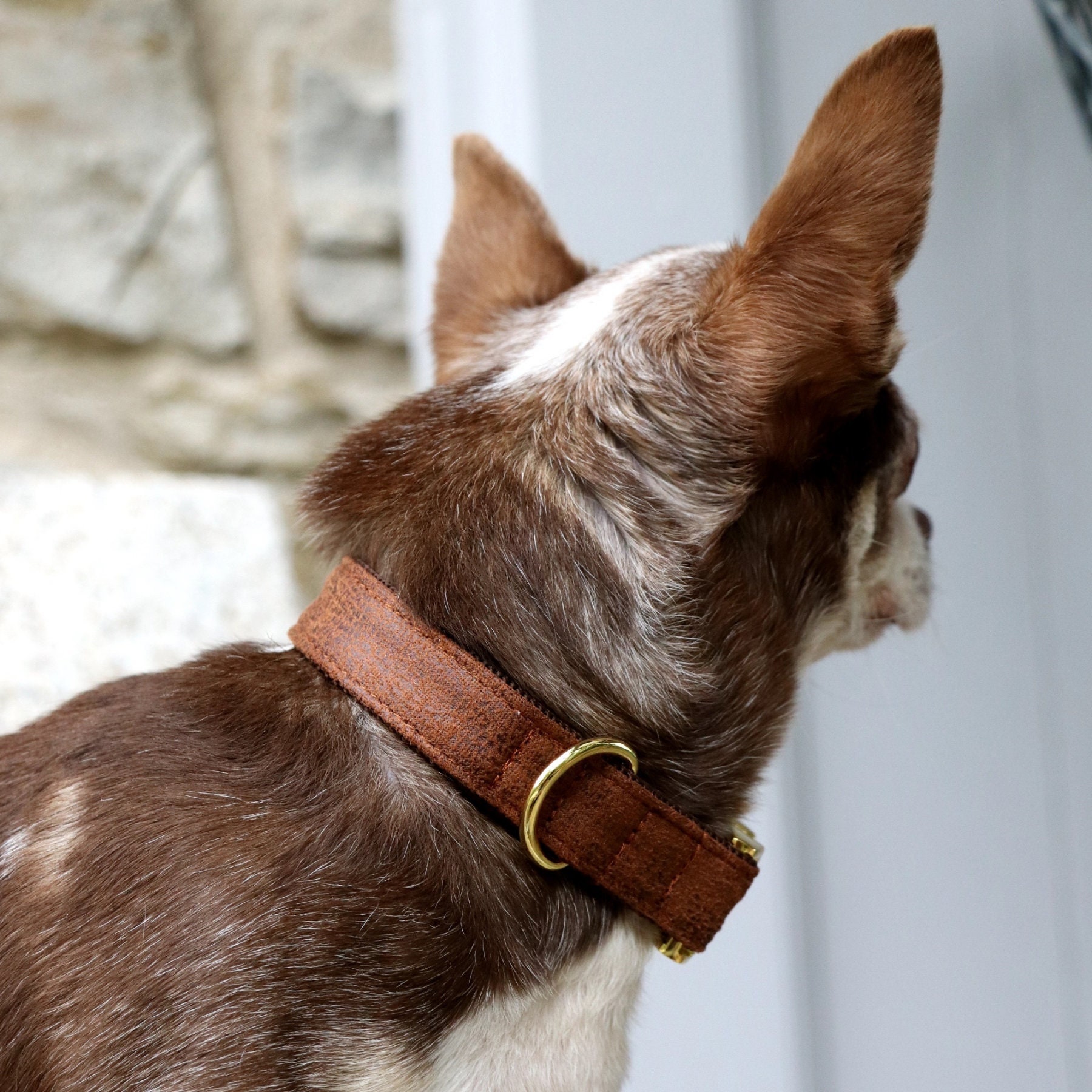 Luxury Designer Brown Monogram Dog Collar In XS, S, M, L, XL (Optional Leash)