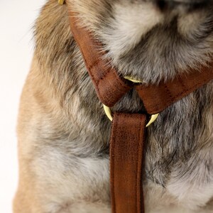 vegan leather dog harness TRAVELER in brown handmade in Germany for girl and boy image 2