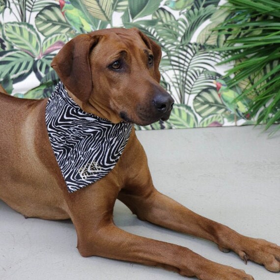 seasalt dog bandana