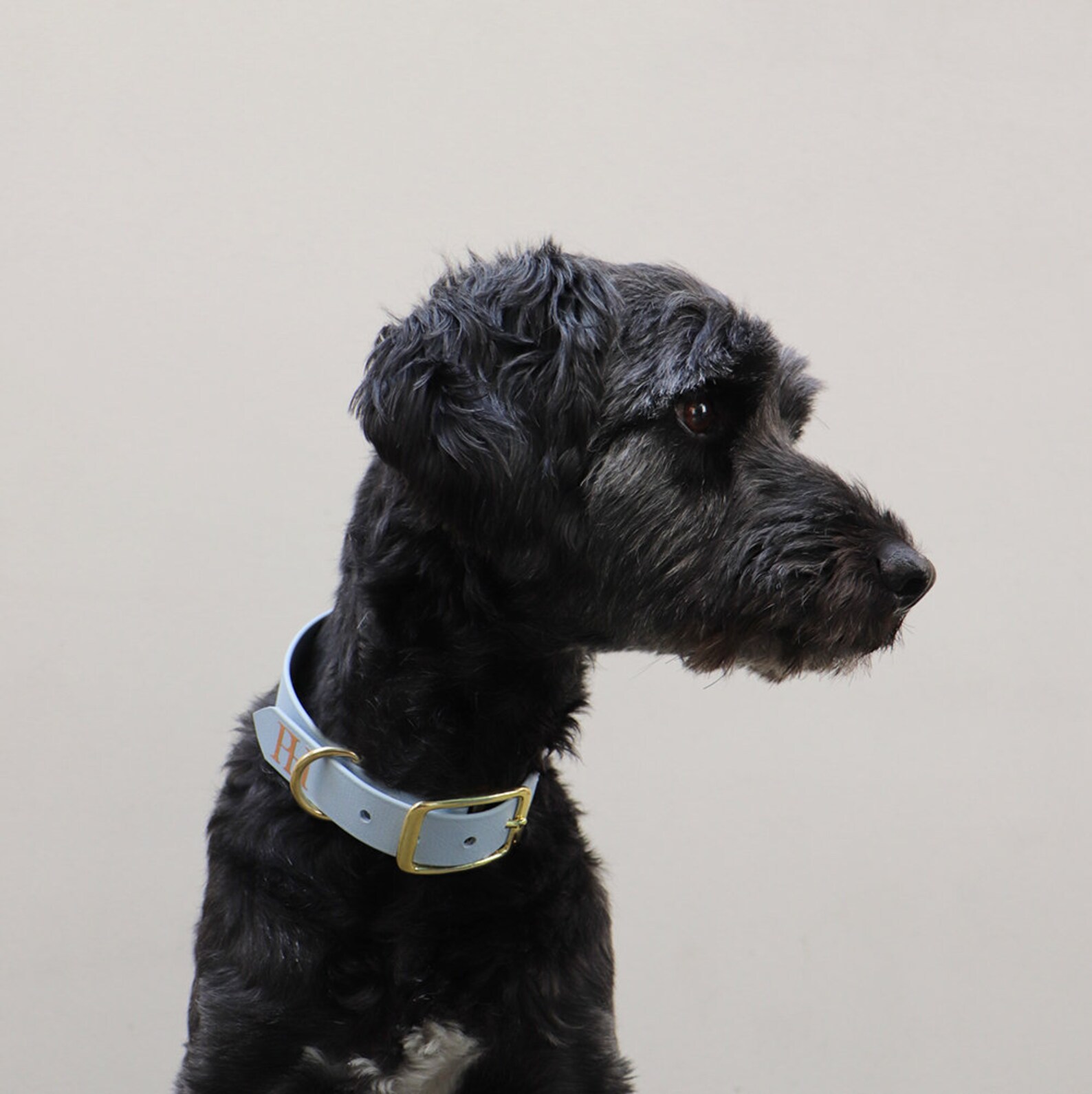 Durable Salt Water Proof Dog Collar BLUE SEA With Brass Etsy