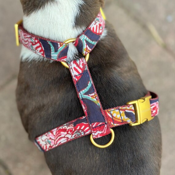 大型犬 英国高級 ハーネス リード カーラー(首輪) お散歩バック リボン