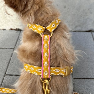 Könnte beinhalten: Senfgelbes Hundegeschirr mit weißem Blättermuster. Das Geschirr hat einen pinkfarbenen Mittelstreifen und goldfarbene Metallbeschläge. Das Hundegeschirr ist so konzipiert, dass es bequem und stilvoll ist.