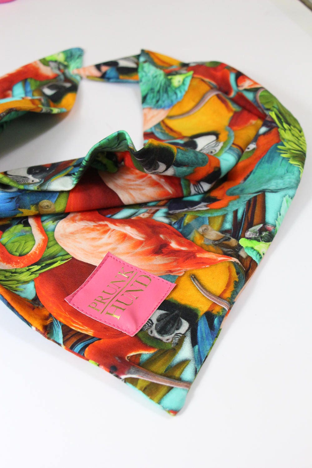 Étoilé de Chien Tropical