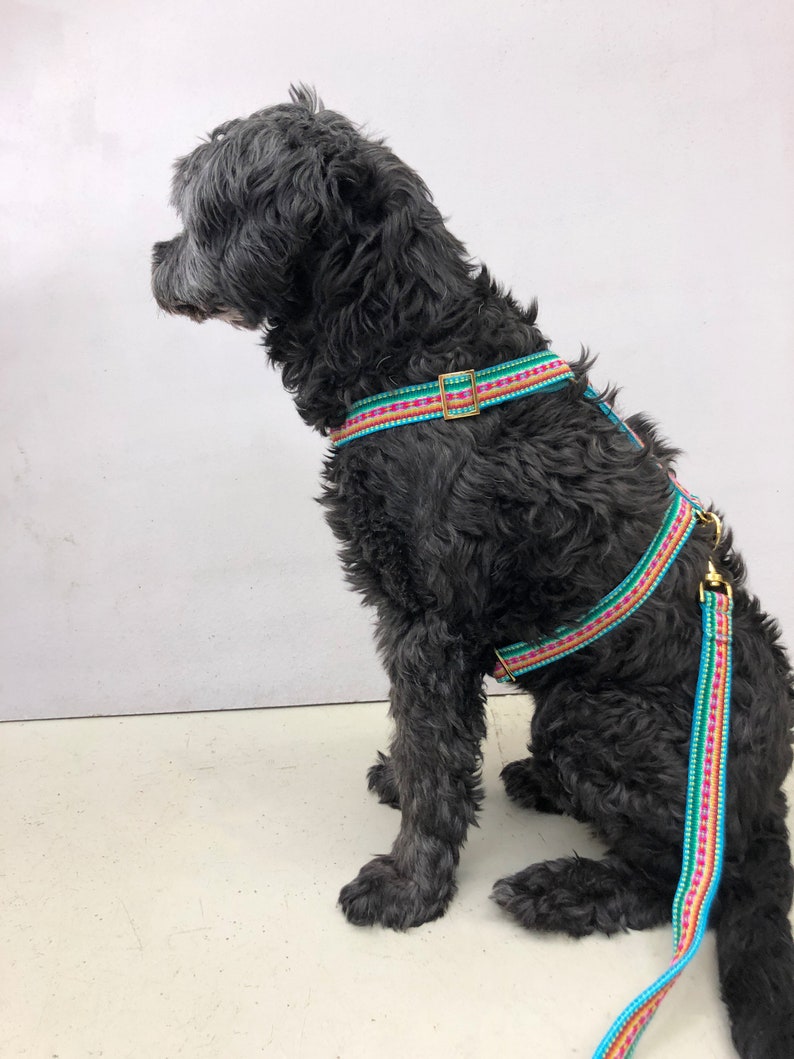 Designer Dog Harness Mint Designer Dog Harness With Etsy