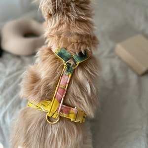 Designer Dog Harness NOMAD Lime Designer Dog Harness With 