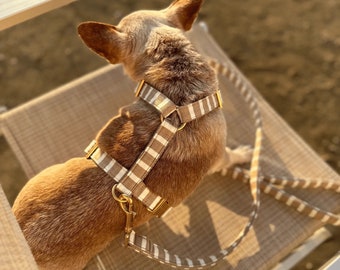beige LIDO sand dog harness for large, small dogs & puppies - golden metal parts - vegan harness luxury - matching leash available