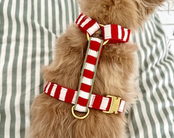 red white WALLY dog harness for large, small dogs & puppies - golden metal parts - striped harness luxury - matching leash available