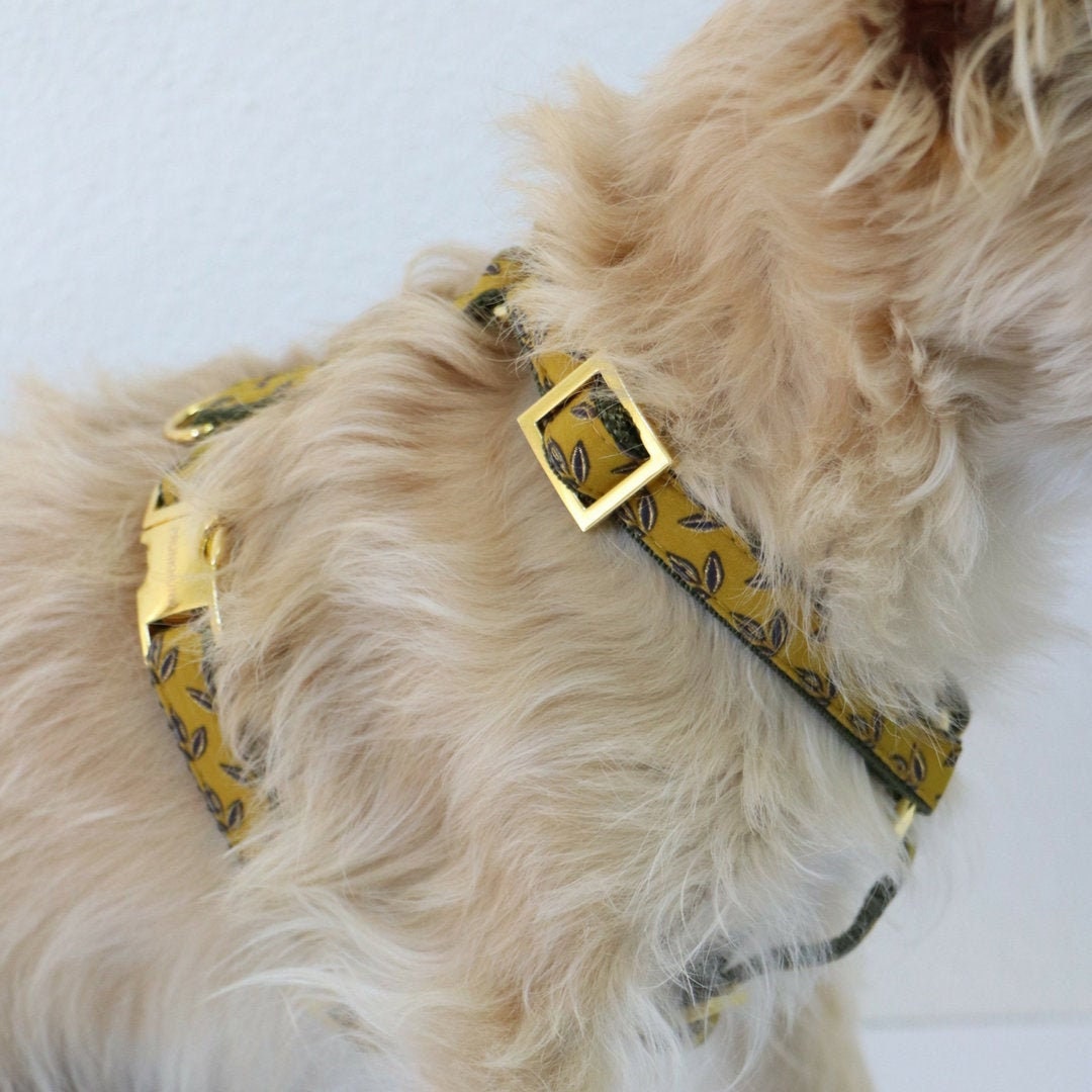 Harnais Pour Chien Élégant Fluorescence Verte - à La Main en Allemagne