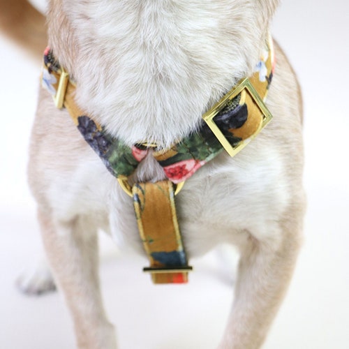 Stylish Dog Harness EDEN DUSK Elegant and Chic Dog Harness Etsy