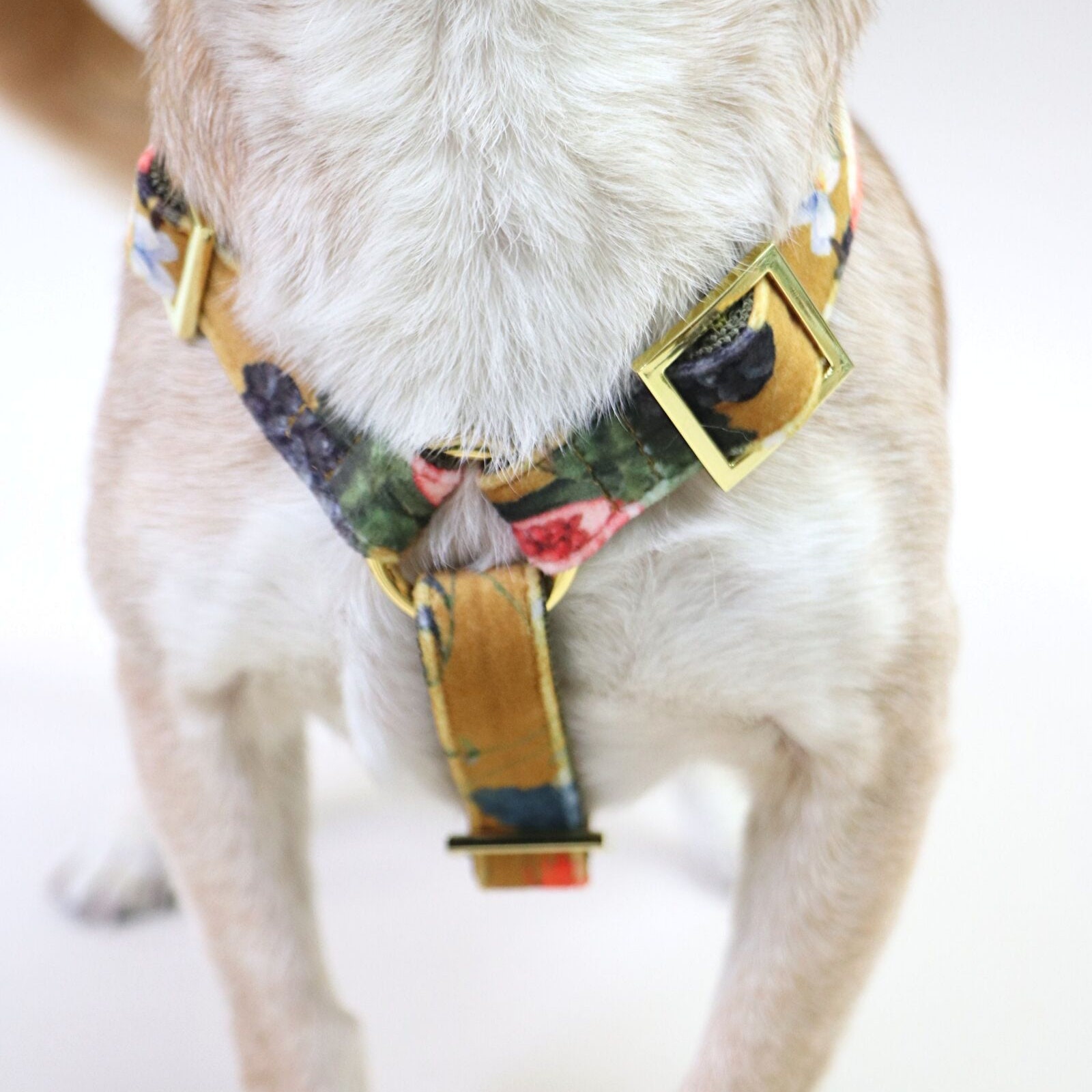 chic dog harness