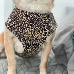 leopard soft harness WILD LIFE handmade in Germany perfect for small & medium dogs and puppies autumn/winter collection chest harness image 4