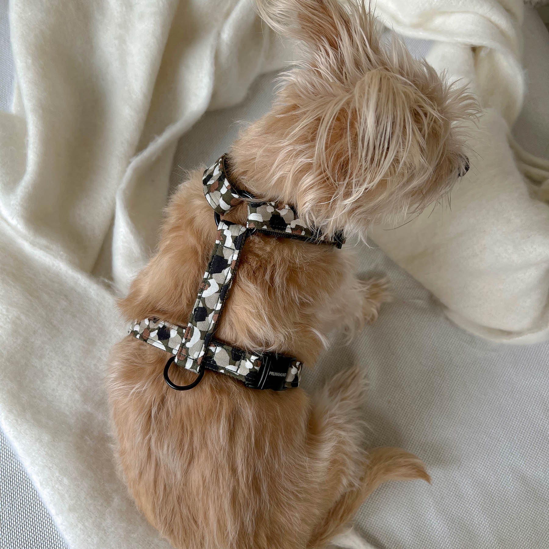 Chic dog harness sales