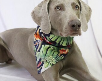 Welpen Eurobuy Haustier-Geburtstagsmütze und Halstuch Geburtstagsfeier tolles Hunde-Outfit und Dekorationsset Set für Hunde 