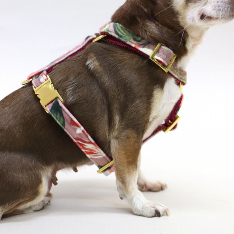 Chic Dog Harness EDEN DAWN Elegant and Stylish Dog Harness Etsy