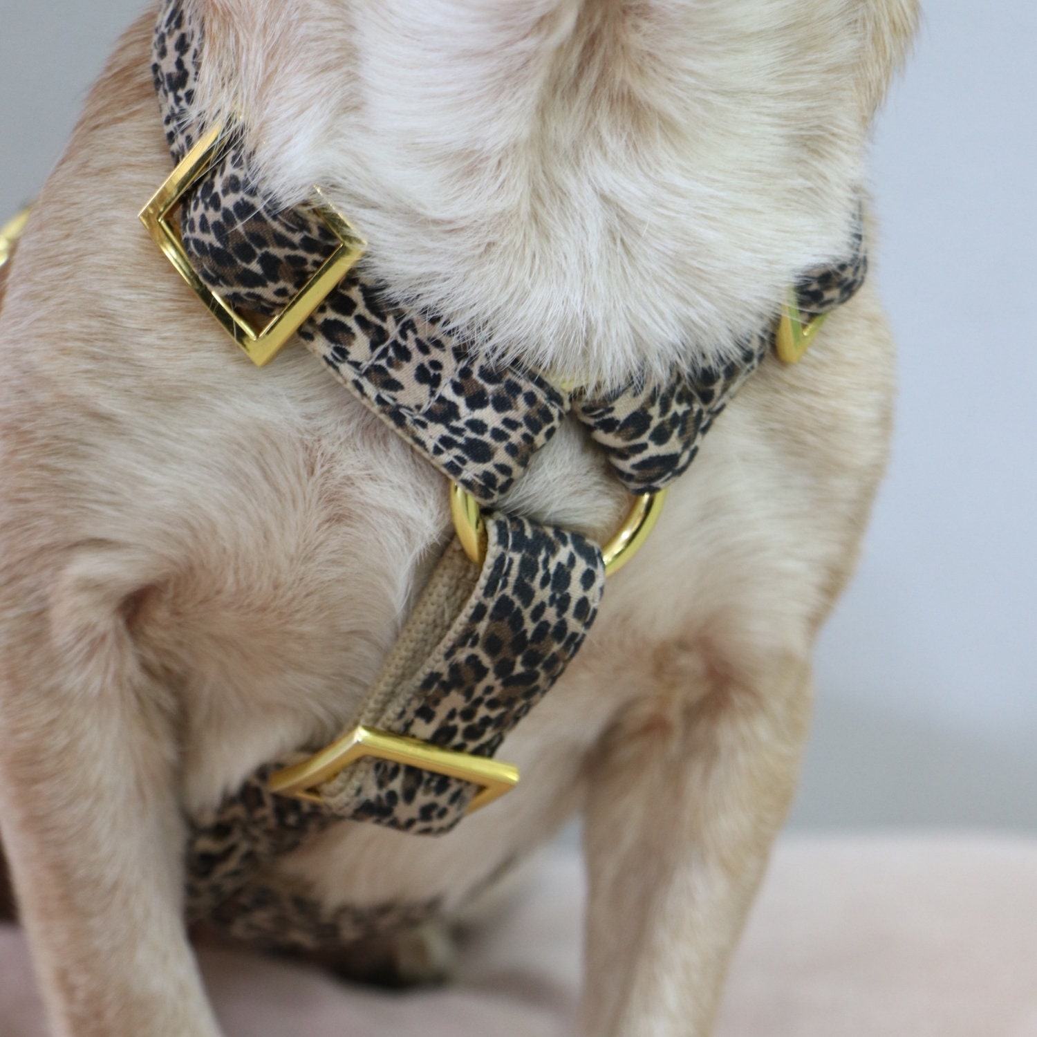 Stylish Dog Harness WILD LIFE Leopard Print Handmade in 