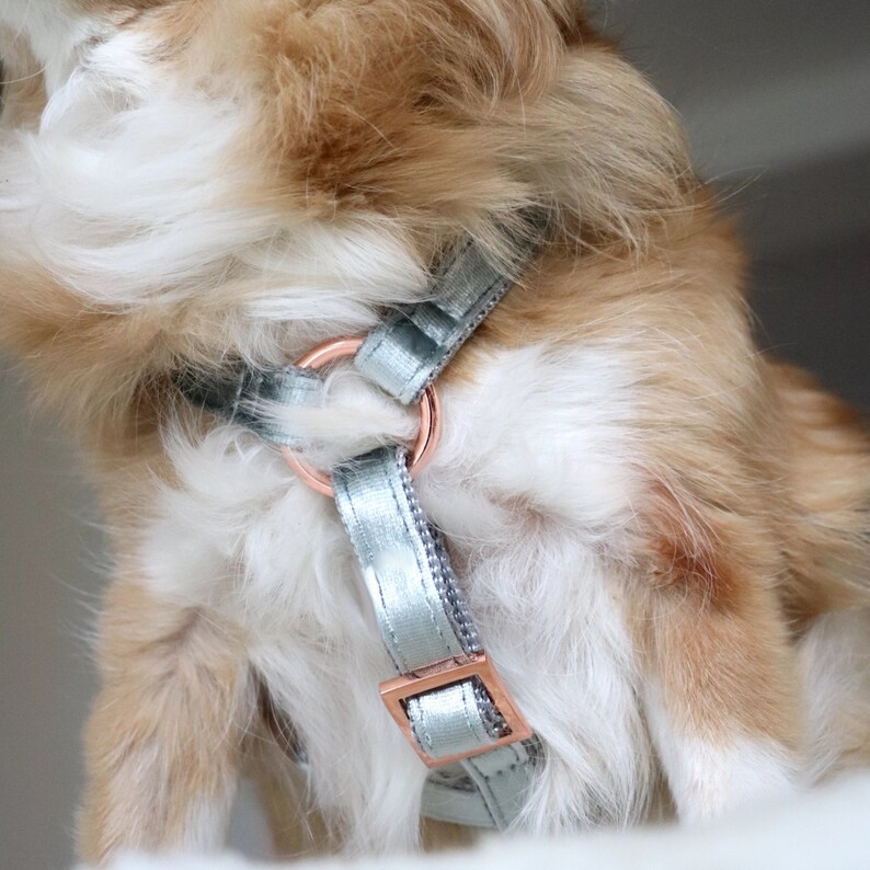 Stylish Dog Harness MOON SHADOW Handmade in Germany Etsy