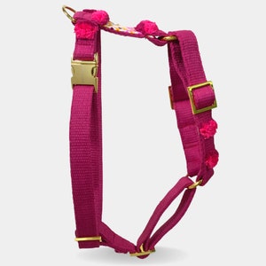 stylisches Hundegeschirr NOMAD berry