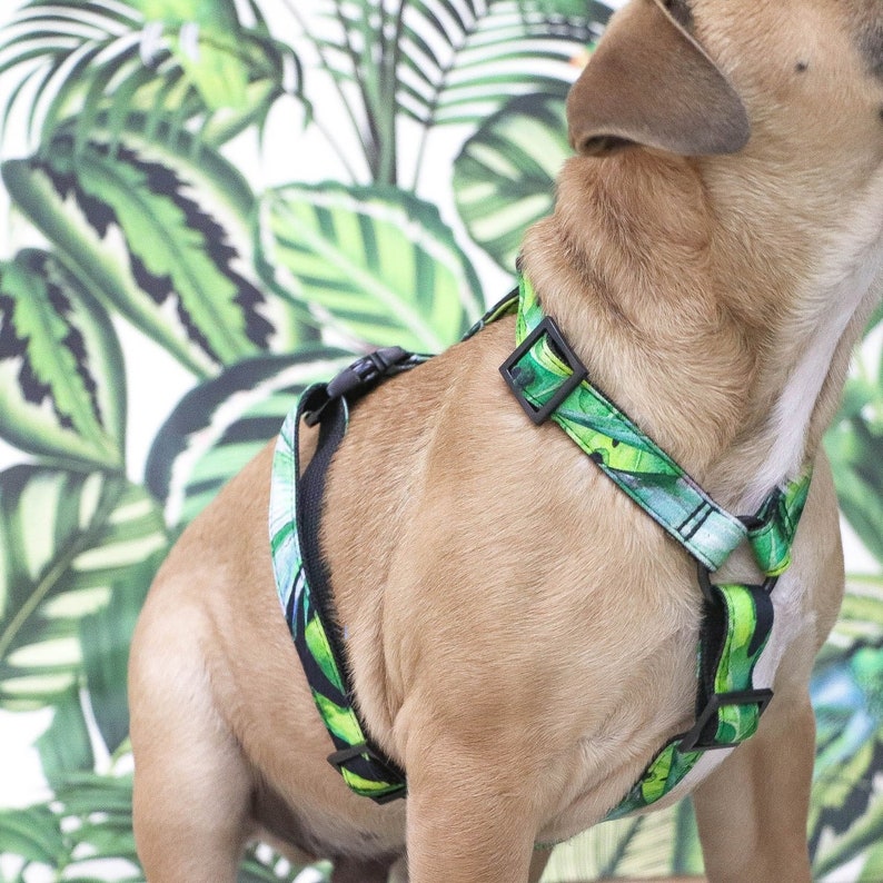 Stylish dog harness JUNGLE FEVER handmade in Germany