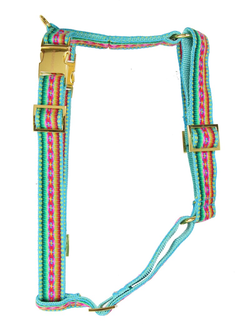 Designer Dog Harness Mint Designer Dog Harness With Etsy