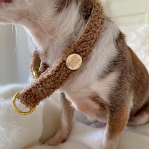 TEDDY トレインストップ犬用首輪 ブラウン 大型犬、小型犬、子犬用 - ゴールドの金属パーツ - ビーガン首輪 犬用 - お揃いのリードも利用可能