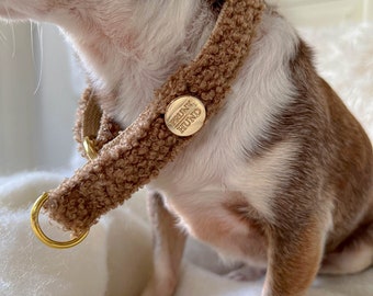 TEDDY Zugstopp Hundehalsband braun für große, kleine Hunde & Welpen - goldene Metallteile - Vegan Halsband Hund - passende Leine erhältlich