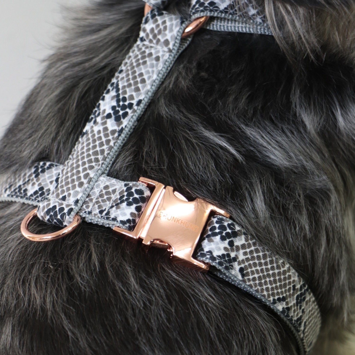 Harnais Pour Chien Élégant Python - à La Main en Allemagne