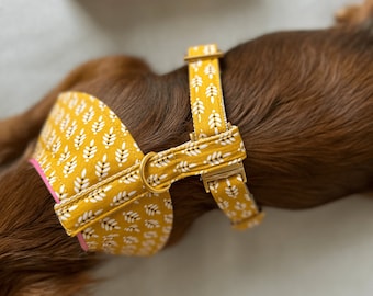 Soft harness SUNNY for medium, small dogs & puppies - golden metal parts - Vegan harness luxury - matching leash available