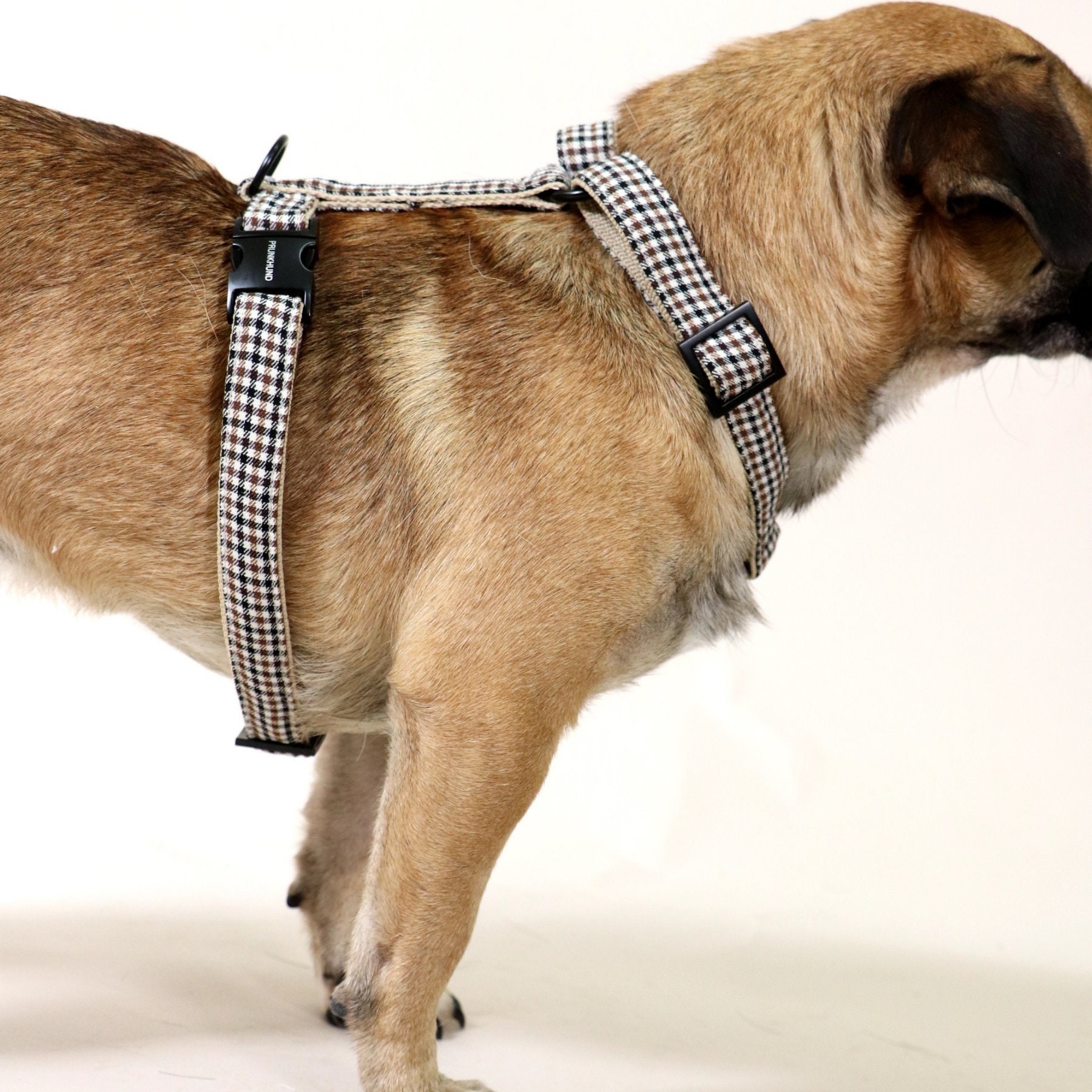 Elegante arnés para perros LORD hecho a mano en - Etsy España